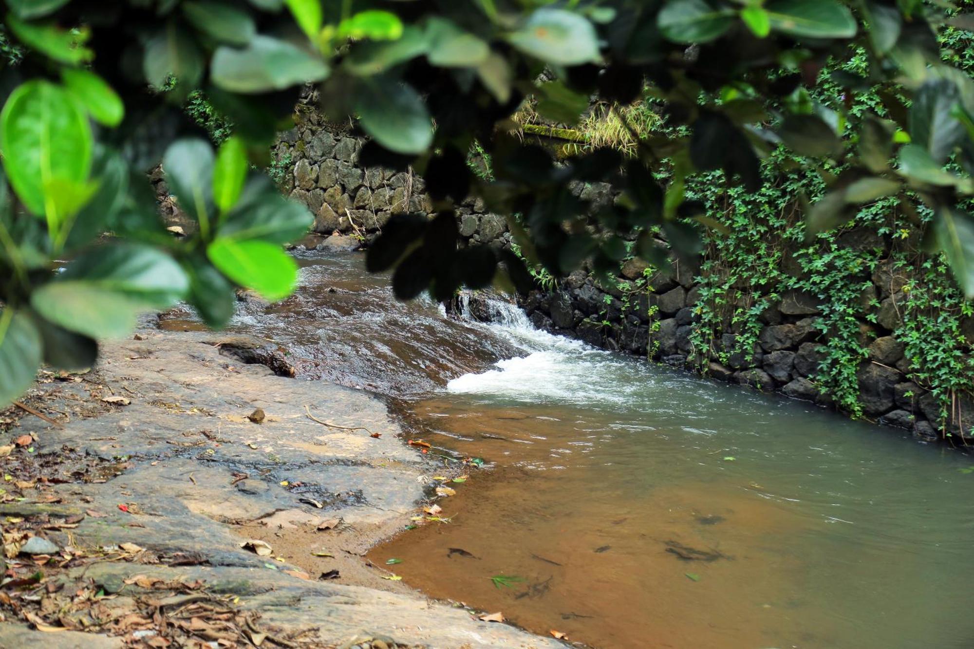 Snow Hills Resorts Thekkady Eksteriør bilde